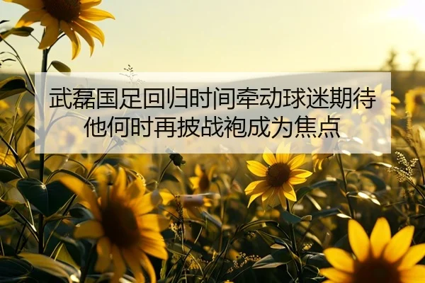 武磊国足回归时间牵动球迷期待 他何时再披战袍成为焦点 | ningyule